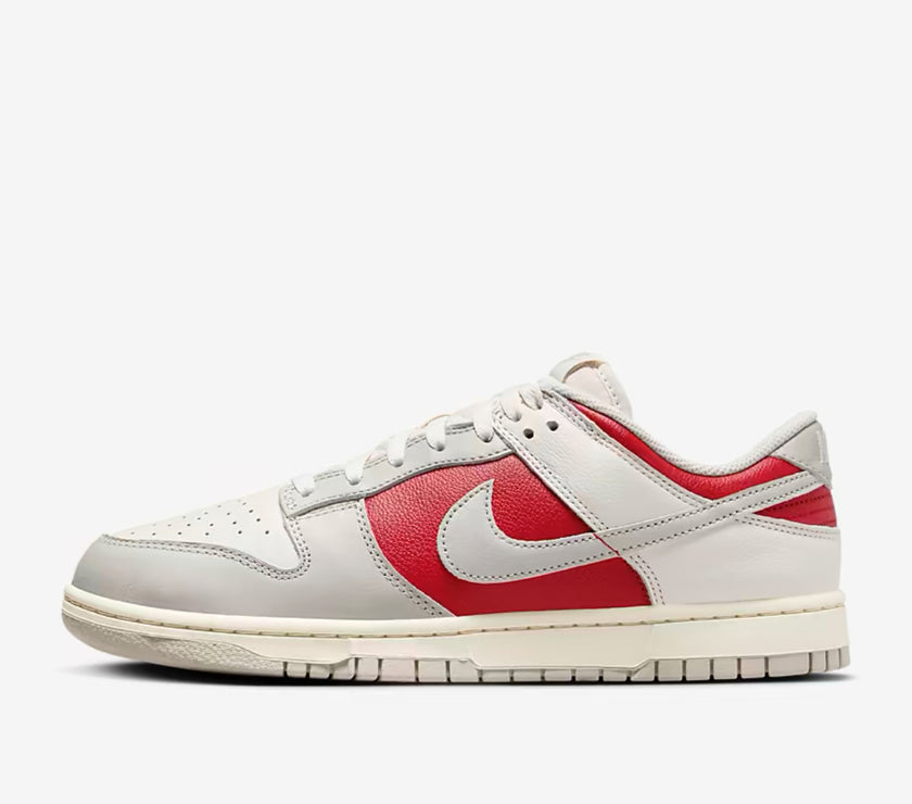 Nike Dunk Low Retro Shoes