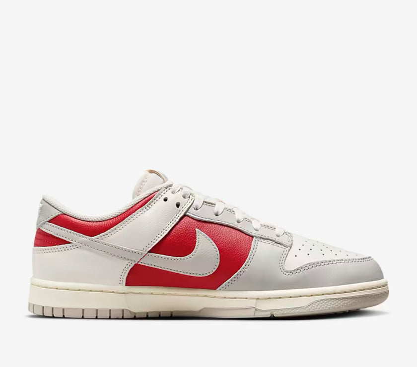 Nike Dunk Low Retro Shoes