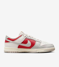 Nike Dunk Low Retro Shoes