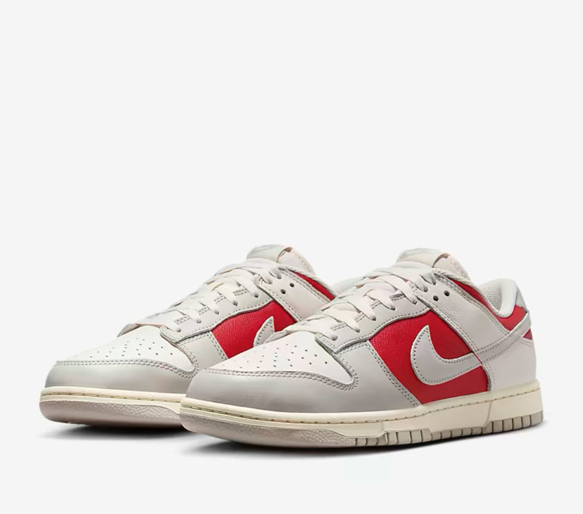 Nike Dunk Low Retro Shoes