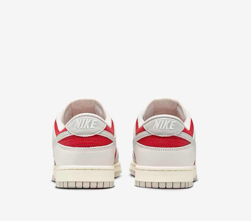 Nike Dunk Low Retro Shoes