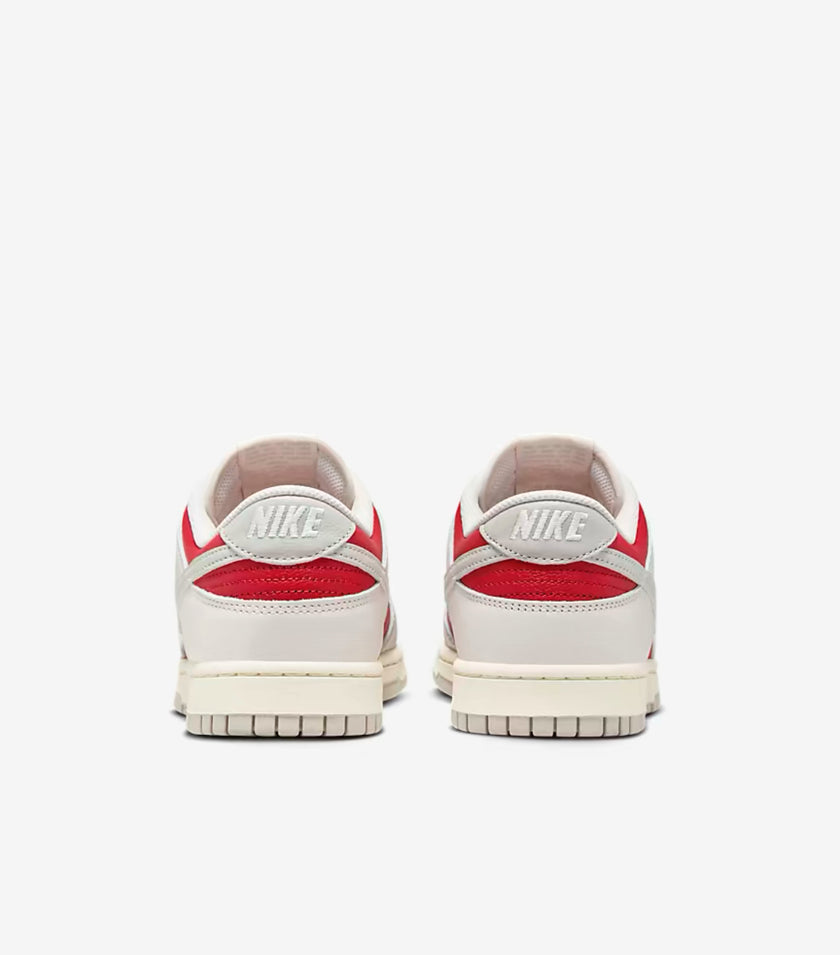 Nike Dunk Low Retro Shoes