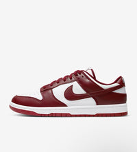 Nike Dunk Low Retro Men's Shoes