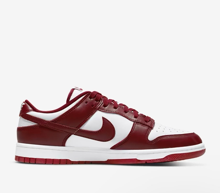 Nike Dunk Low Retro Men's Shoes