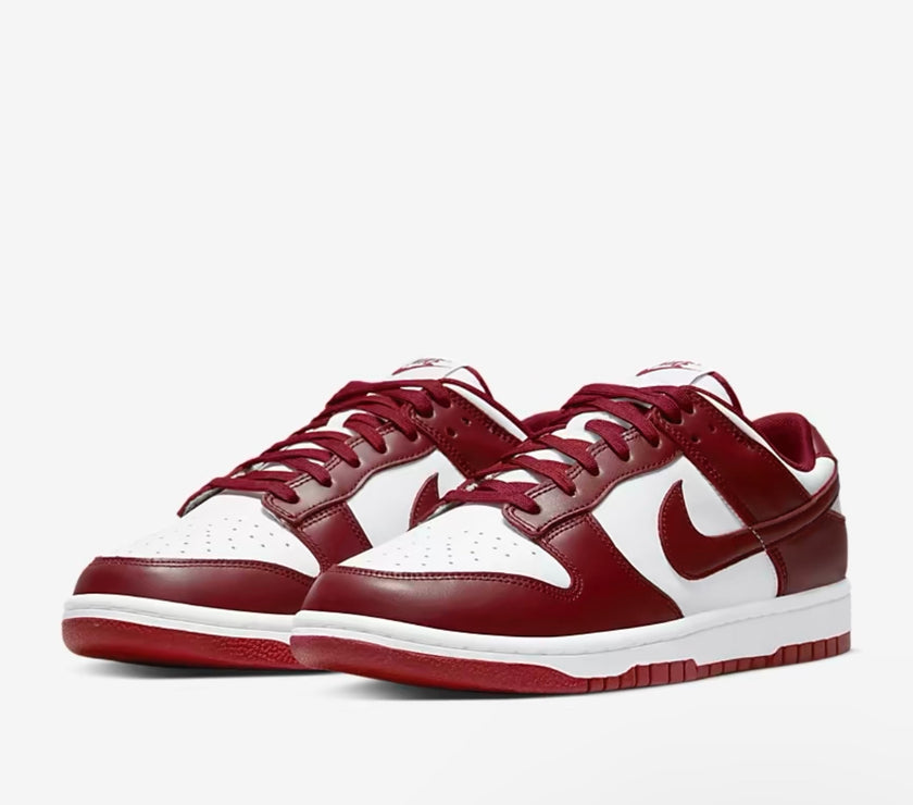 Nike Dunk Low Retro Men's Shoes