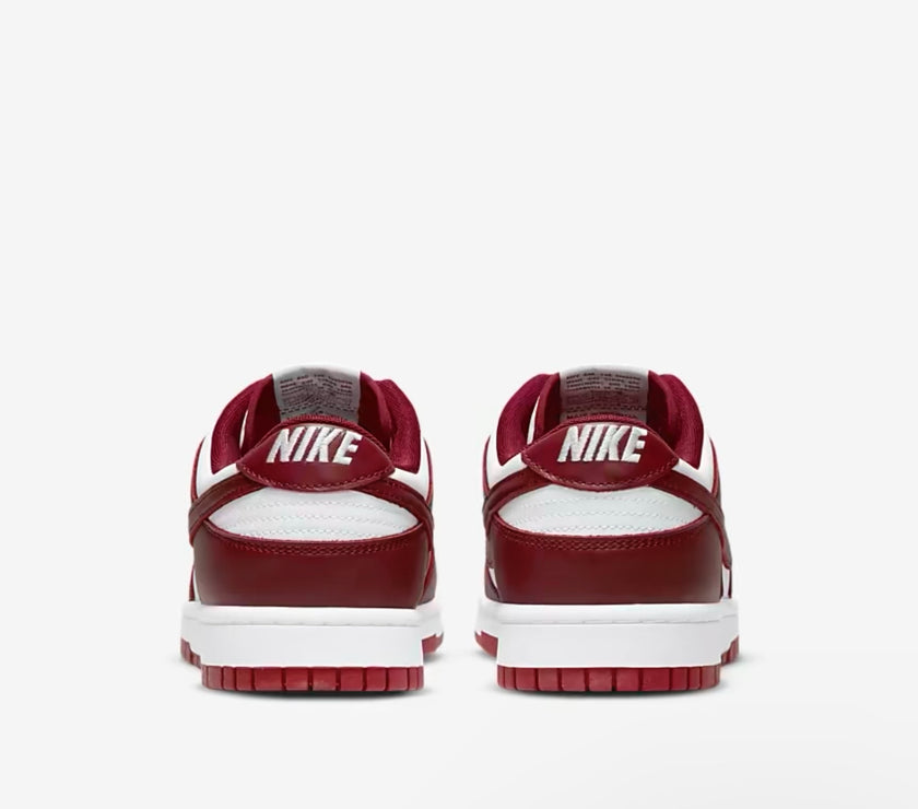 Nike Dunk Low Retro Men's Shoes