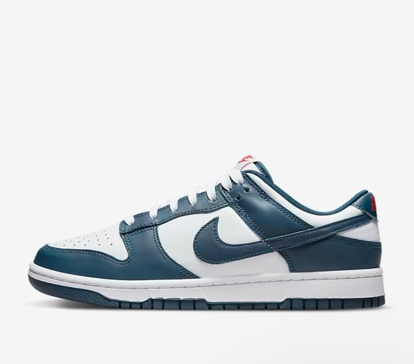 Nike Dunk Low Retro Men's Shoes