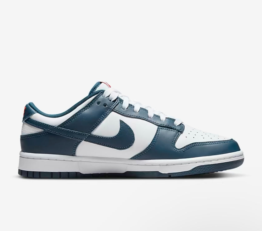 Nike Dunk Low Retro Men's Shoes