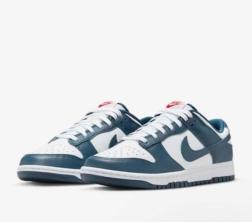 Nike Dunk Low Retro Men's Shoes