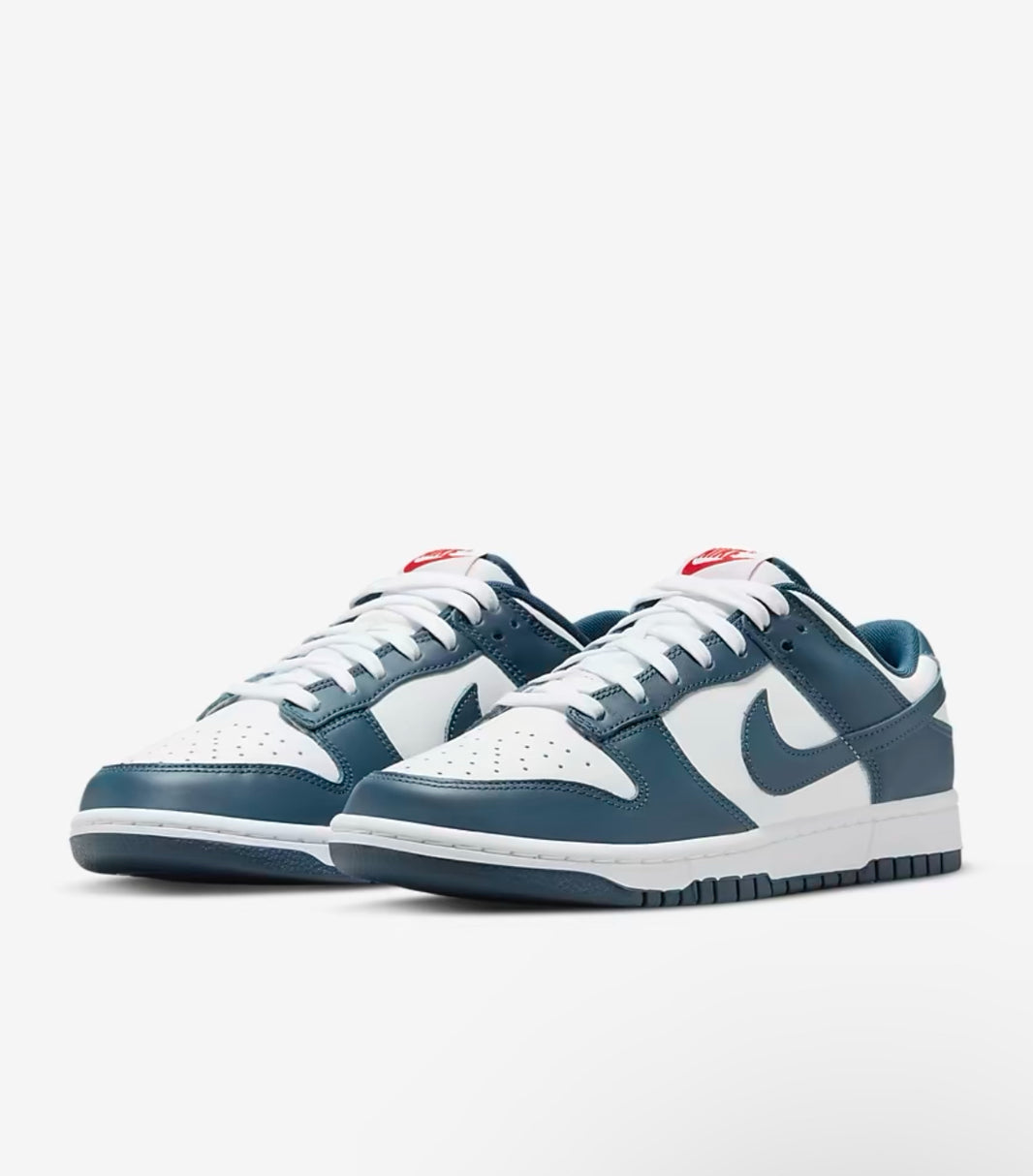 Nike Dunk Low Retro Men's Shoes